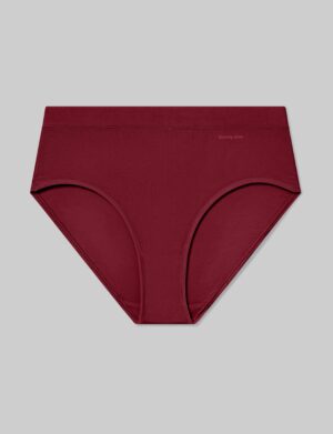 Women's Second Skin High Rise Brief
